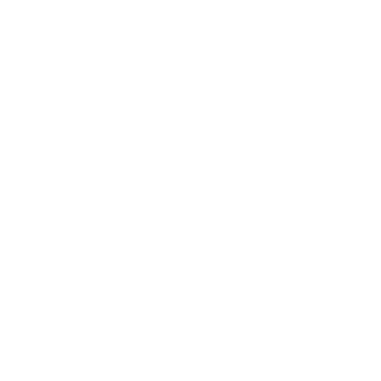 Exoticar Logo